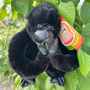 Les singes noirs saint valentin vente en gros personnalisé OEM ODM CPC jouets en peluche pour hommes adultes - Product Image 5