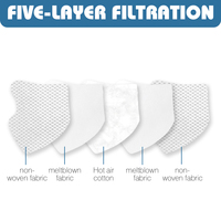 Masque respiratoire KN95 pour la protection quotidienne des enfants, tissu non tissé à 5 couches, filtre à charbon actif, coton chaud, jetable