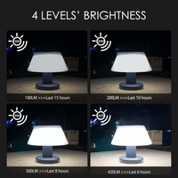 Lampe de table solaire pour jardin, rechargeable, IP65, LED, commande par bouton, 4 niveaux de luminosité réglables, résistante à l'eau, lumière de nuit moderne