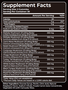 OEM ODM Vegan Cordyceps Reishi leoni criniera Chaga miscela di funghi commestibili Gummies integratore cerebrale - Product Image 6