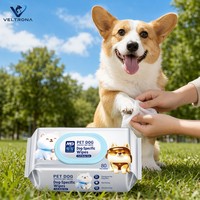 Lingettes nettoyantes jetables non tissées pour animaux de compagnie, sans alcool, parfumées aux fruits, emballées individuellement, spécifiques aux chats, pour pattes, oreilles et corps
