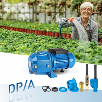 YINJIA Surface aspiration profonde haute levée 1hp pompe à eau à jet de puits peu profond