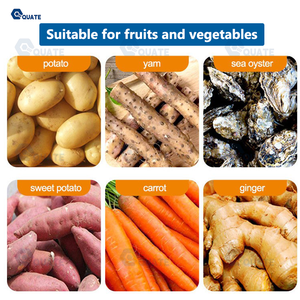 Máquina para Lavar y Pelar Patatas, <span class=keywords><strong>Precio</strong></span> de la Peladora de Vegetales Comercial para Fábrica de Alimentos - Product Image 6