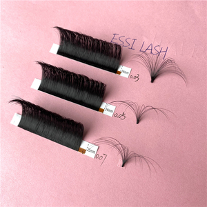 ESSILASH Extension Bán Buôn Khối Lượng Thương Hiệu Riêng <span class=keywords><strong>Eyelash</strong></span> <span class=keywords><strong>Extensions</strong></span> 0.03 Mét D Nhanh Chóng Dễ Dàng Fan Lông Mi Nhanh Chóng Bloom Lashes - Product Image 1