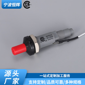 Aiguille d'allumage en céramique à bouton-poussoir pour cuisinière à gaz, allumage électrique universel avec pointe droite et courbée - Product Image 4