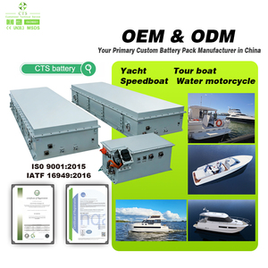 Sistem Baterai Lithium Kapal Listrik CTS OEM/ODM 530V 234Ah 4000 Siklus -20~55 Suhu Operasi untuk Kapal Pesiar/Kapal Wisata - Product Image 3