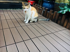 Sàn Gỗ Ngoài Trời Sàn Gỗ Ngoài Trời WPC Sàn Gỗ Ngoài Trời - Product Image 3