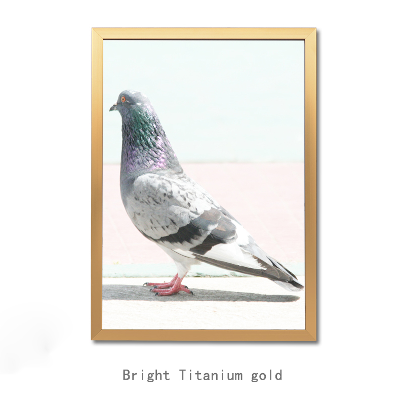 Or titane brillant
