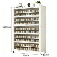 Mueble de Almacenamiento para Zapatos con Puerta Abatible para Sala de Estar Moderna, de Acero, a Prueba de Polvo, Fácil de Montar, Duradero