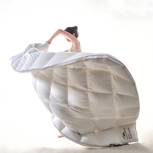 <span class=keywords><strong>2025</strong></span> Thương hiệu mới cao cấp ngỗng xuống chăn thực sự xuống điền cho khách sạn và sử dụng nhà - Product Image 4