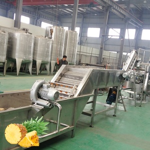Tự động công nghiệp dứa nước ép trái cây máy ép trái cây tập trung nhà máy chế biến làm máy sản xuất toàn bộ dòng - Product Image 3