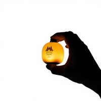 Outdoor-Camping Super Stressabbauende Quetsch-Reisball-Lampe Kleine Zelt-Überdachungs-Atmosphärenleuchte Mehrfarbige LED 1,5V IP44 Wasserdicht