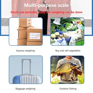 Báscula <span class=keywords><strong>de</strong></span> pesaje electrónica con pantalla LCD portátil <span class=keywords><strong>de</strong></span> 30kg y 50kg, gancho alimentado por batería para medir peso, báscula electrónica promocional - Product Image 6