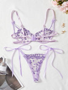 Wholesale Heart Embroidery Lace Lingerie <b>Set</b> <b>Sexy</b> Sheer Mesh Intimates Underwire Bra and Tie Side Thong Panties <b>Set</b> 2 Piece - Product Image 2