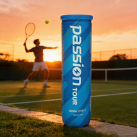 Ballons de tennis de plage ODEA PASSION Series, 57% laine, certifiés ITF, durables, pressurisés, portables, personnalisables, de qualité supérieure