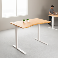 Table d'ordinateur en bambou de qualité supérieure, réglable en hauteur, bureau en bambou massif, bureau debout Ecomax