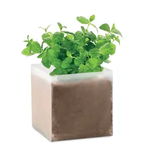 Mepal MINT Graines de menthe Gadget écologique personnalisé des Pays-Bas - Product Image 1