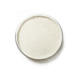 <span class=keywords><strong>Insen</strong></span> fournit une poudre de Bacillus Megaterium à haute teneur - Product Image 1