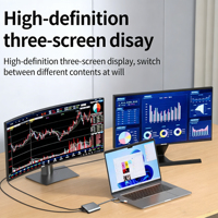 Adaptateur USB-C vers double HDMI 1080P HD, faible MOQ, Plug & Play, Thunderbolt 3 pour ordinateur portable, double sortie moniteur, gaine PVC, HDTV