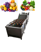 Laveuse industrielle de fruits et légumes à bulles pour usine de gingembre et de noix