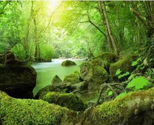 Naturaleza verde bosque 3D Mural árbol foto papel tapiz para restaurante tienda sala de estar dormitorio pared decoración papeles tapiz - Product Image 1