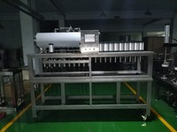 Machine de remplissage et de bouchage de bouteilles de bière à 6 têtes, manuelle, semi-automatique, contrôlée par PLC, pour la production de bière artisanale