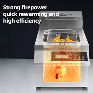 Friggitrice elettrica commerciale 8L/12L con controllo a manopola in acciaio inox che solleva friggitrice profonda con filtro per ristorante - Product Image 6