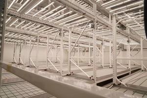 Table de flux de reflux commerciale mobile hydroponique d'intérieur plateau de culture support de culture vertical bancs roulants table de culture - Product Image 3