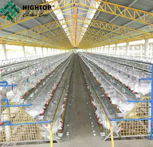 Design A Type 4 Tiers Galvanized Poultry Farms Battery Hens Layer Chicken Cages For Sale In Algeria Philippines