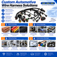 Fabricants professionnels de faisceaux de câbles OEM/ODM sur mesure pour la commande électrique des voitures, les moteurs et l'assemblage de faisceaux de câblage automobile