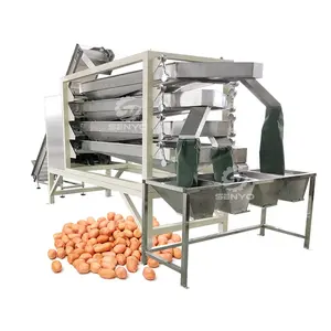 Factory macadamia Nuts Optical Grading Sorting Machine Chestnut Peanut Sorter Equipment