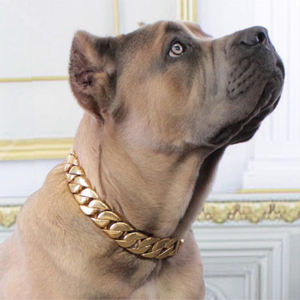 Goldene Hundehalskette aus Metall für das Haustiertraining, Würgehalsband für kleine und mittelgroße Hunde, Zubehör aus Edelstahl, kubanische Gliederkette für Bulldoggen, 32 mm BÄNDER - Product Image 3