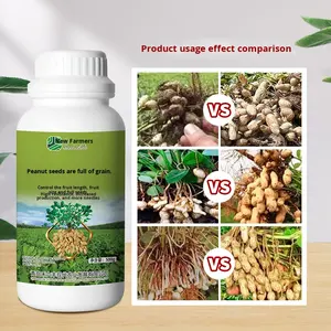 Engrais liquide spécial cacahuète pour l'augmentation du rendement, la croissance des revenus, le contrôle des semis et le grain complet - Product Image 2