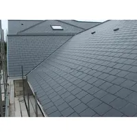 Chinese Natural Stone Black Slate Roof Tiles for Villa