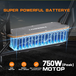 Scooter Eléctrico Joey H14 de Mejor Valor en Almacén de EE. UU., 750 W, Alcance de 80 km, Velocidad Máxima de 45 km/h, <span class=keywords><strong>Scooters</strong></span> Eléctricos con Asiento y Maletero - Product Image 6