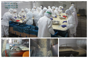 ชิ้นไม้ไผ่แช่แข็งอย่างรวดเร็วสำหรับอาหารเอเชียและอาหารเพื่อสุขภาพ - Product Image 6