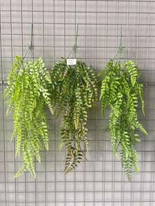 シダの壁吊り人工植物のヴァインホームと結婚式のリビングルーム装飾カラフルな枝ガーランド簡単 - Product Image 5