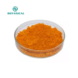 B.C.I 공급 레드 Annatto Annatto 씨앗 추출물 Annatto 분말