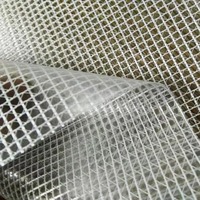 Bâche en maille PVC enduite imperméable transparente enroulable pour la protection de la construction