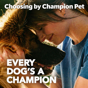 Nutramax <span class=keywords><strong>Cosequin</strong></span> Complément Alimentaire pour la Santé des Articulations des Chiens Glucosamine Hydrochloride MSM Favorise la Santé des Articulations pour Toutes les Races et Tailles - Product Image 2
