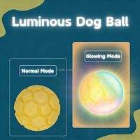 Balles rebondissantes pour chien avec éclairage LED interactif, rechargeables par USB, en caoutchouc naturel, jouet lumineux pour chien