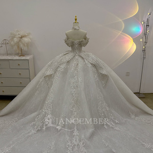 Vestido de Novia de Lujo Estilo Princesa con Encaje, Cola Catedral, Hecho a Medida para Ocasiones Especiales Lsjj28 - Product Image 6