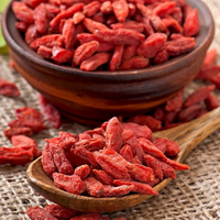 Baies de Goji Sucrées Séchées Biologiques de Qualité Supérieure Grade B du Ningxia, Vente en Gros, Faible Teneur en Sucre, Collation Saine