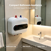 Petit chauffe-eau sous comptoir avec thermostat numérique pour cuisine, lavage des mains et usage domestique