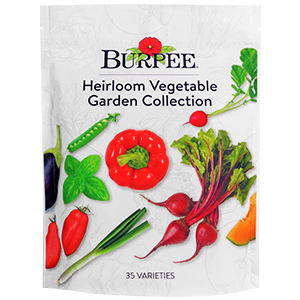 Kit di Semi di Ortaggi Burpee Heirloom, Oltre 35 Varietà Non-OGM per Giardino, Include Lattuga, Fagioli, Zucca per Vasi e Fioriere - Product Image 6