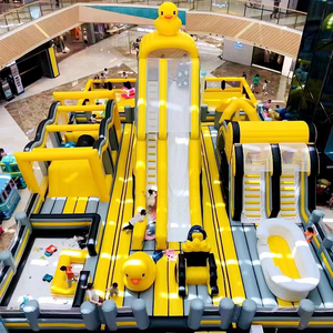 Bassin à Bébés Gonflable Géant Personnalisé en Caoutchouc Coloré, Équipement d'Amusement Commercial Multi-Toboggans, Marque <span class=keywords><strong>YFN</strong></span>, Garantie 1 An - Product Image 3