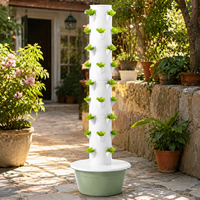 Système hydroponique vertical à 9 niveaux pour légumes, herbes et fraises, design gain de place