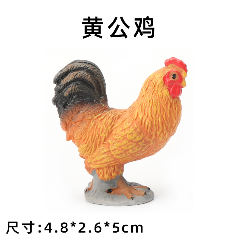 gallo amarillo