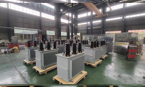 Transformateur de puissance 400kV 750kVA 630kVA 100kVA à refroidissement par huile pour l'exploitation minière, directement du fabricant avec 35 ans d'expérience - Product Image 5