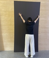 Panel de Pared Interior Moderno de PVC con Chapa de Madera de Bambú Carbonizado, 5mm-8mm de Grosor, Resistente a la Humedad, Acabado Dorado, Panel de Cristal para el Hogar